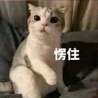 你猜猜是甜的還是虐的
