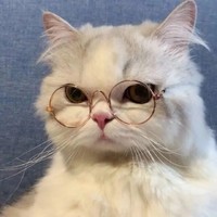 小谷