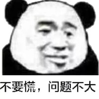 暗影明光是笨猪