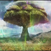 極光族