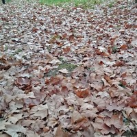 這是一本長長的故事書