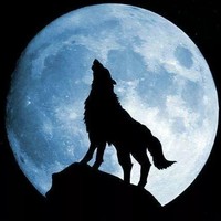 狼王梦之蓝魂儿