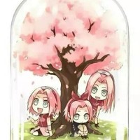 樱酱