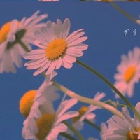 续命系统