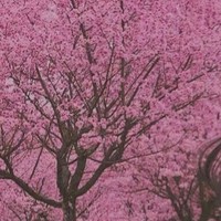 凑字得积分