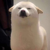 突然煽情