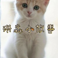 霸道总裁和青春校园