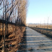 时间线交错