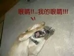 黑凰北月