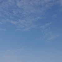 无女二