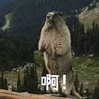 又沙雕又同人
