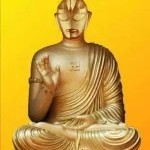可能会有点玛丽苏
