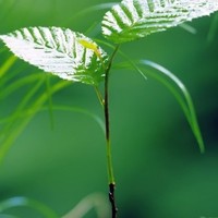 你重生了