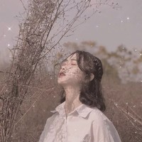 九组夜芸洛邀请驻站