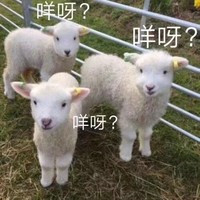 懒得起名字系列