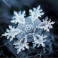 月霜花