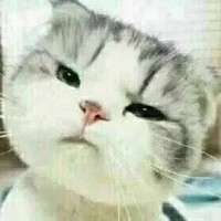 韓小笙邀請(qǐng)駐站