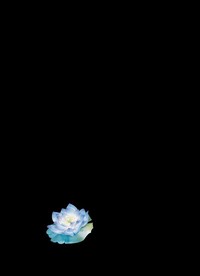 处处是谎言
