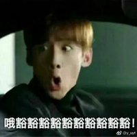 好看的動畫同人小說
