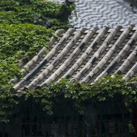 楠故文学社