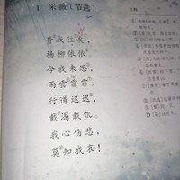 雨浩被坑