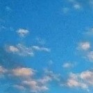 塵霄辰星老母親的番外