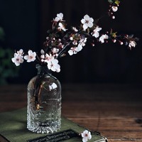 京剧猫墨兰