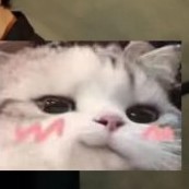 看我這樣生活