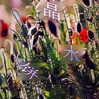 虐墙头草