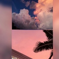 大仁和又青