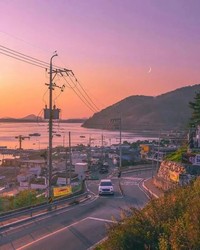 沈白