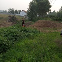 籽岷和女主cp