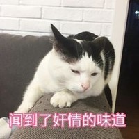 不可抱图