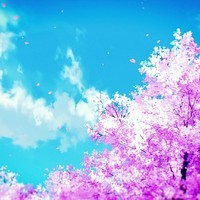 詩文集