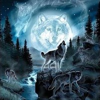 狼武士二部曲