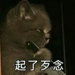 对影视下手