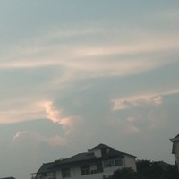 作者的雷点