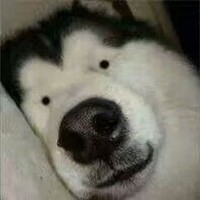 沙雕轻松文