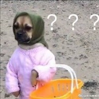 主要唠嗑