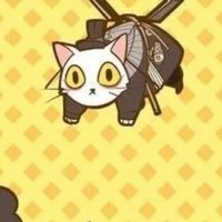 日常擼貓