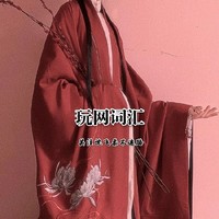 玩网词汇