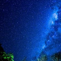 王默的主人們