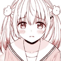 盗文必究