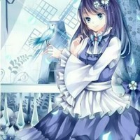 星莓娜娜双梦
