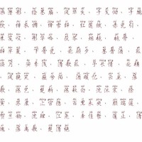 白凤九东华帝君