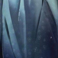 凹凸世界穿越hp