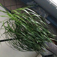 无敌超爽文