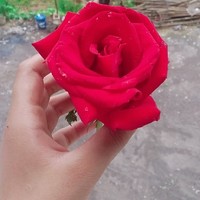 擋災