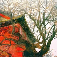 多男主甜虐交替