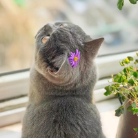 现代言情重生甜宠